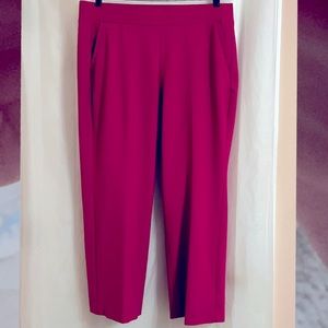 Lane Bryant stretch knit pants in hot pink size 18/20 short